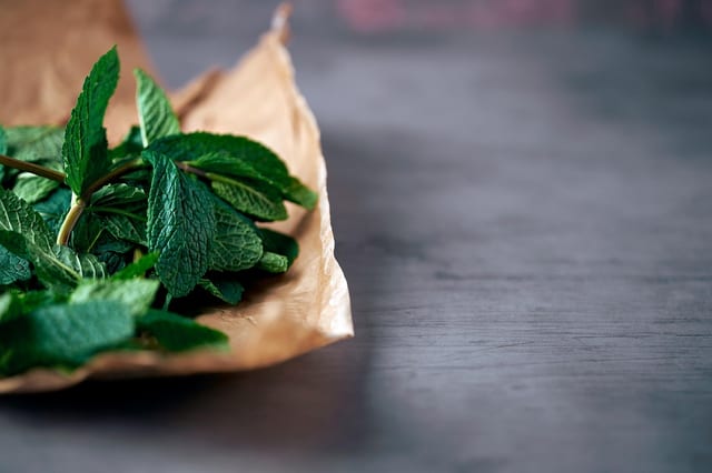 Mint Chutney.